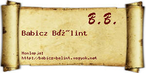 Babicz Bálint névjegykártya